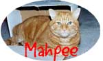 Mahpee.