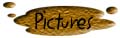 Pictures